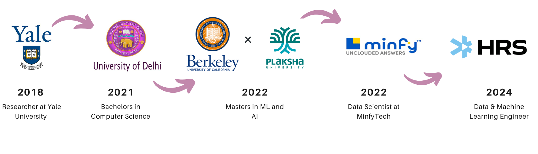 Gaurav Lohkna — Journey timeline